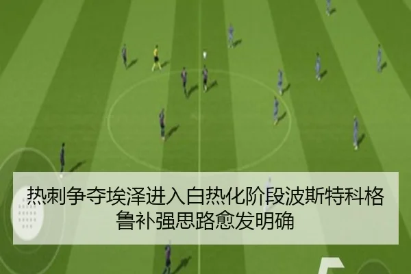 re-ci-zheng-duo-ai-ze-jin-ru-bai-re-hua-jie-duan-bo-si-te-ke-ge-lu-bu-qiang-si-lu-yu-fa-ming-que-2-426.jpg